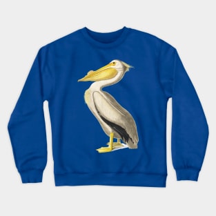 American White Pelican Crewneck Sweatshirt